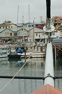 Morro Bay 2009 ,Ingomar