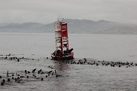 Morro Bay