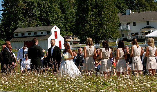 Wedding in country